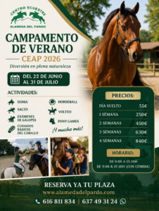 Campamento de verano 2026