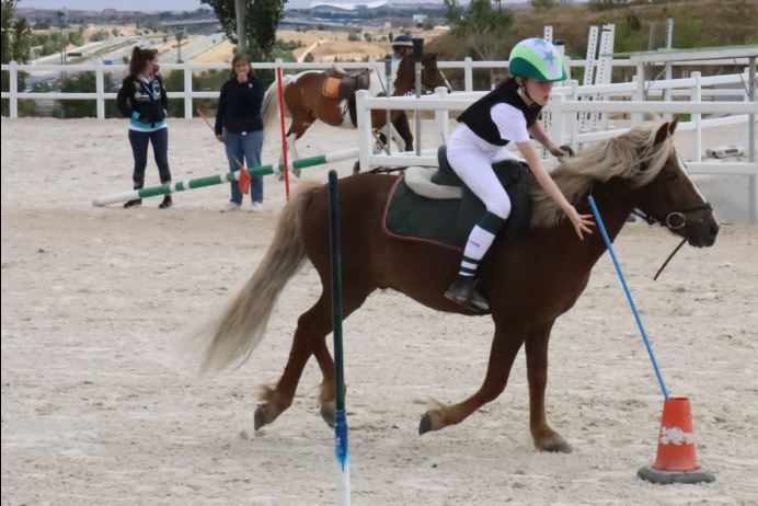 greenteam-tienda Green Team