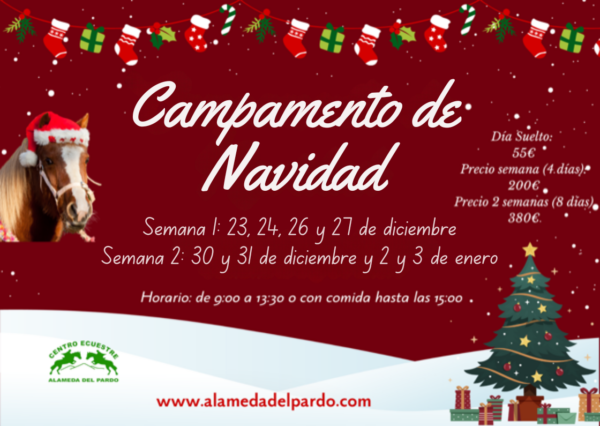 Campamento de Navidad