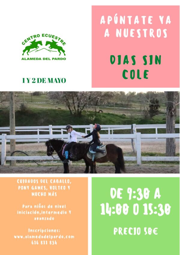 Días sin cole