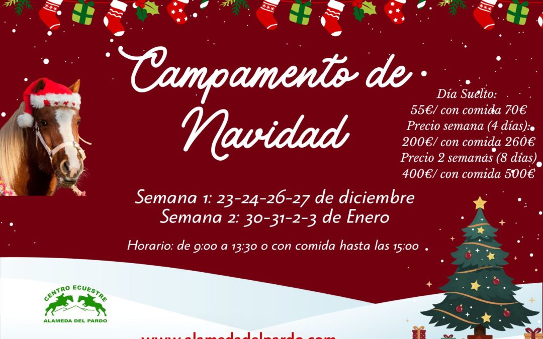 Campamento de Navidad de equitación 2024/25