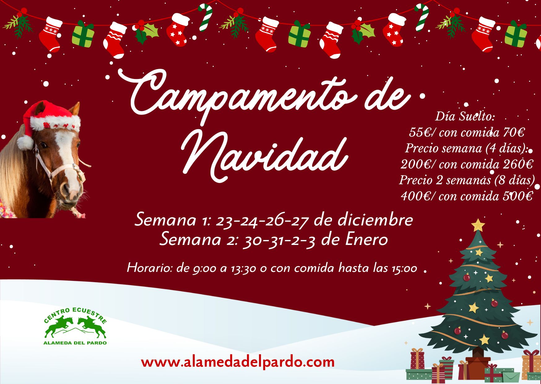 campamento de Navidad CEAP 2024