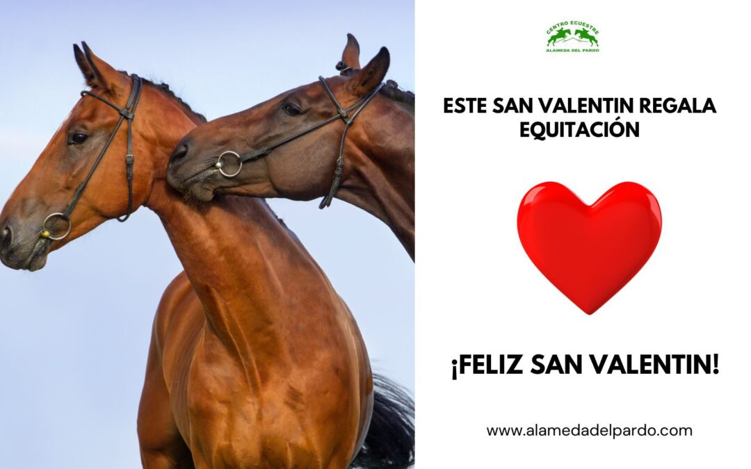 Celebra San Valentín con un paseo a caballo