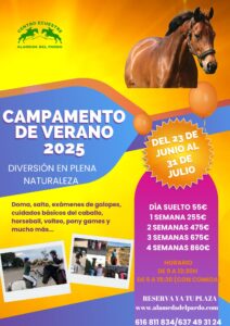 Campamento de verano 2025