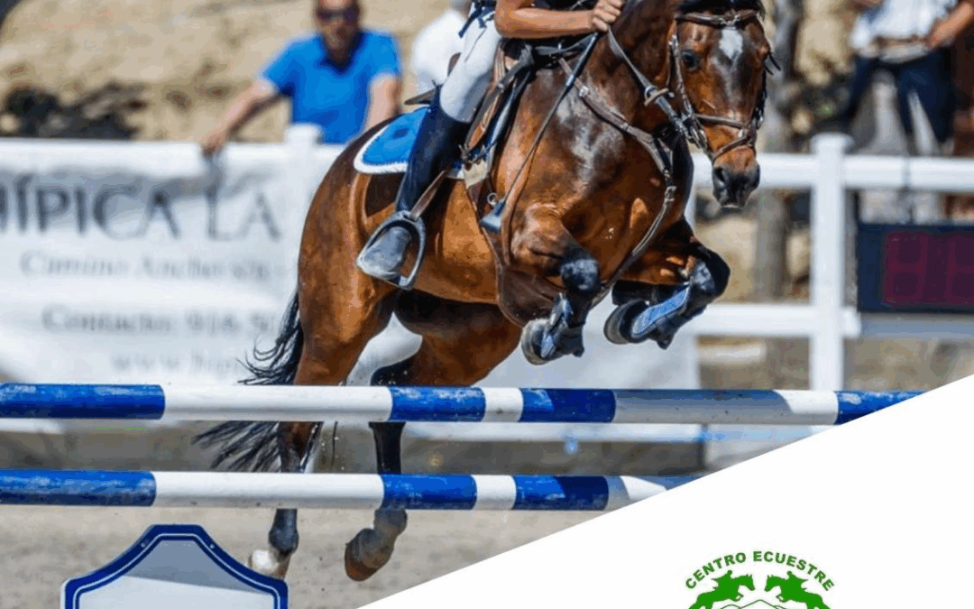 Concurso social de saltos