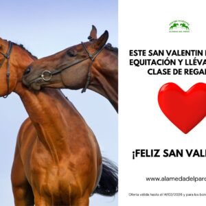 Oferta San Valentín
