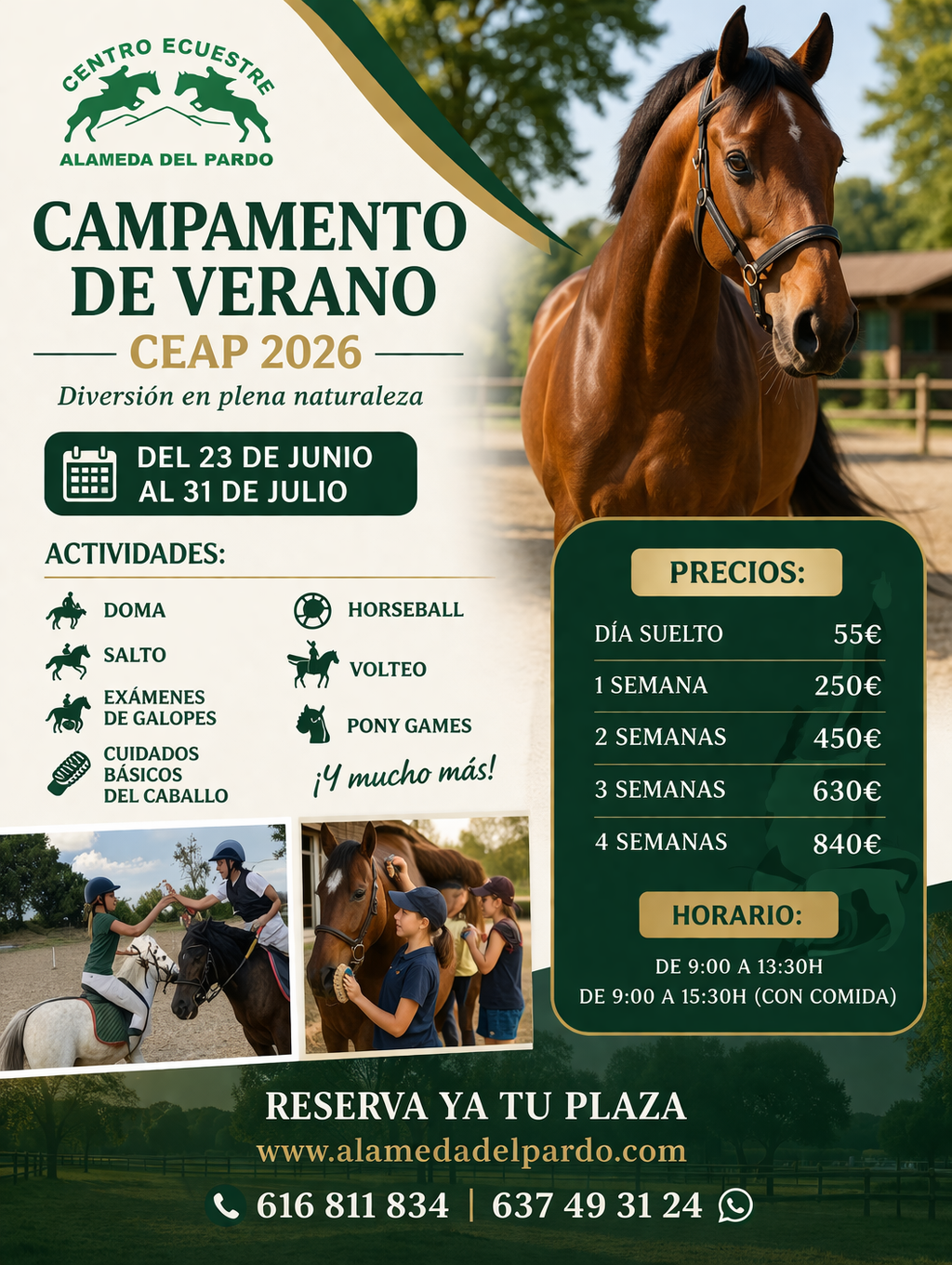 Campamento de verano 2026